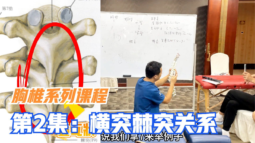 腰椎滑脱与脊椎生理曲度有关，也与腰椎关节突关节有关，一起了解