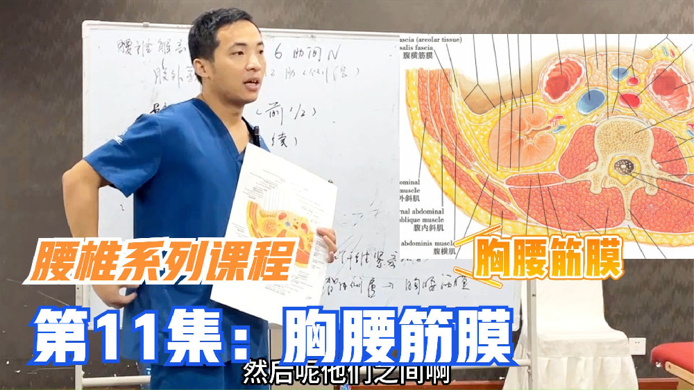腰部问题为何要治腹部？听李正军医生讲腰腹部解剖结构，就明白了