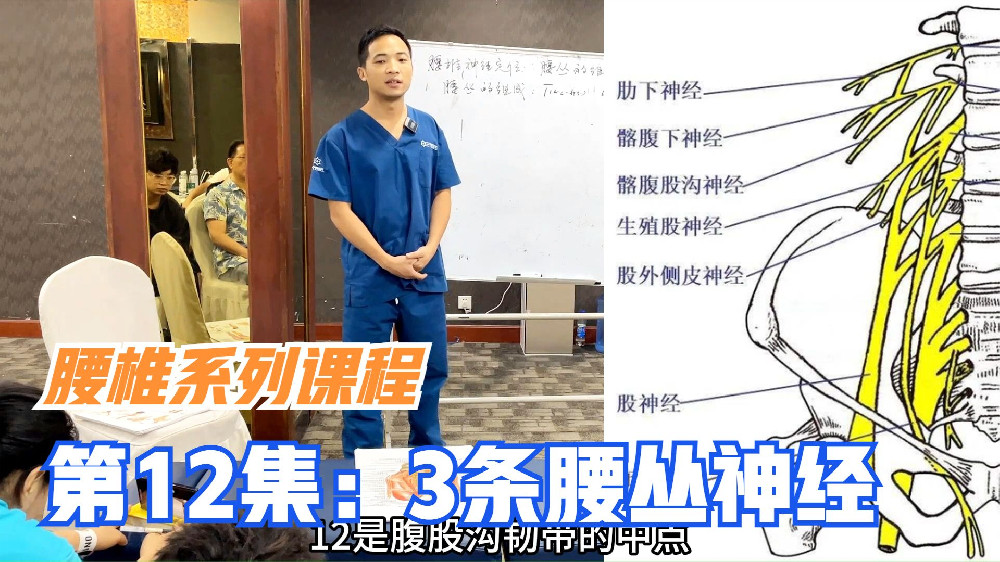 腰丛由6条神经构成，7分钟通过痛经等3个病例，带您先了解其中3条